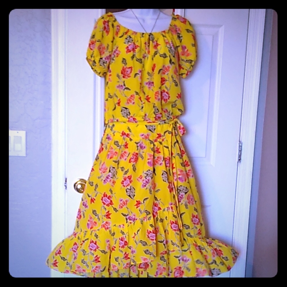 Joie Dress _ size medium